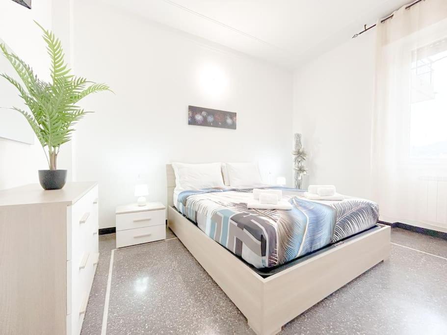 Elegant Apartment - Wifi - Smart Tv - Netflix Genova Eksteriør bilde